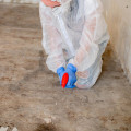 Why You Need A Certified Mold Specialist In Philadelphia Before Pier And Beam Foundation Repair