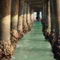 Why Water Damage Remediation Is Essential For Pier And Beam Foundation Repair In Mt Pleasant, SC